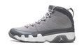 Air Jordan 9 "Cool Grey 2025"