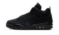 Air Jordan 4 "Black Cat 2025" FV5029 010