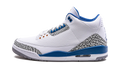 Air Jordan 3 Retro "Wizards"